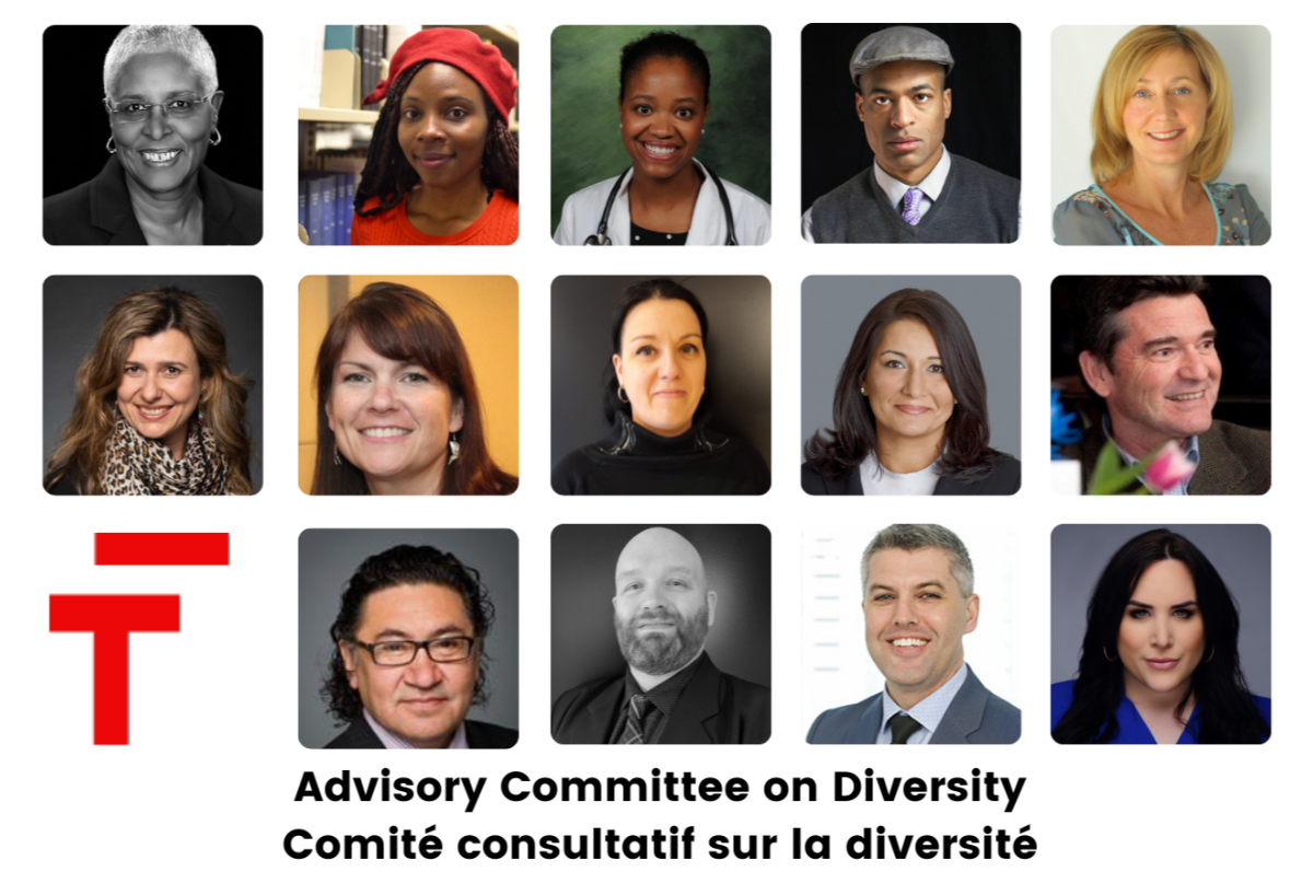 Comité consultatif sur la diversité