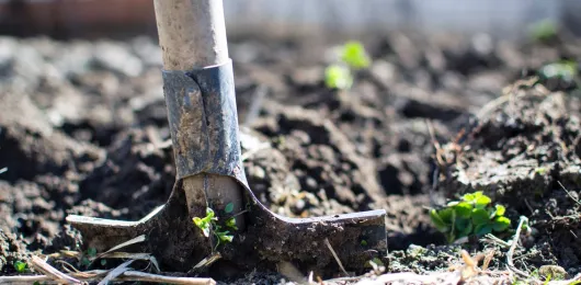 Migrant Workers in Agriculture