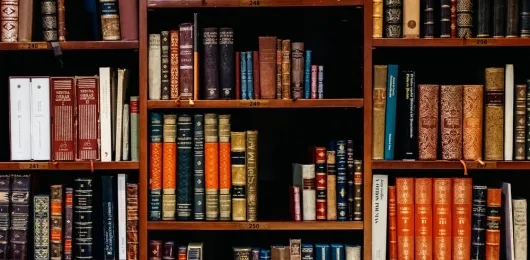 Transnational Labor Law